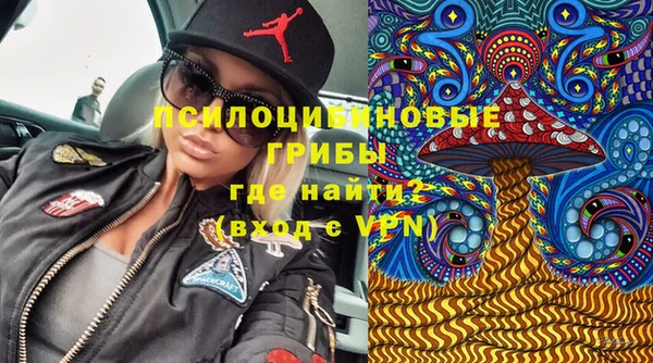 соль ск Бронницы