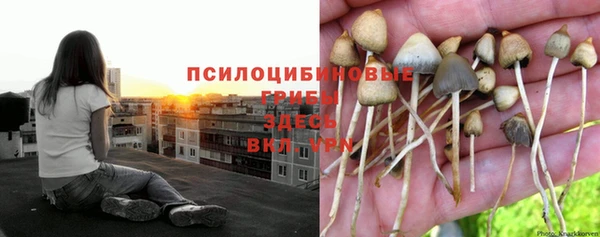 Альфа ПВП Бородино