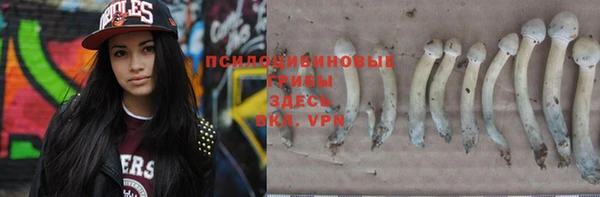 Альфа ПВП Бородино