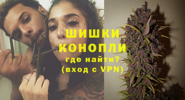 Альфа ПВП Бородино