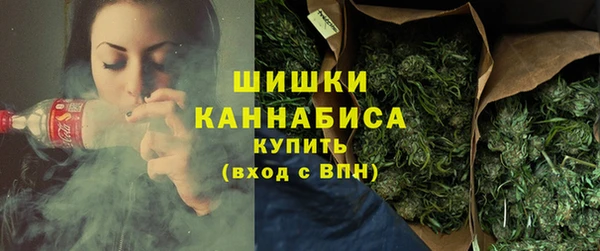 Альфа ПВП Бородино