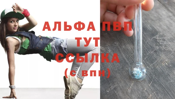 Альфа ПВП Бородино