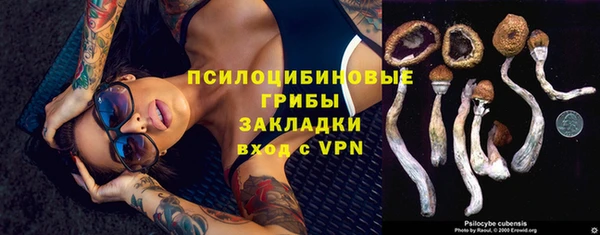 Альфа ПВП Бородино